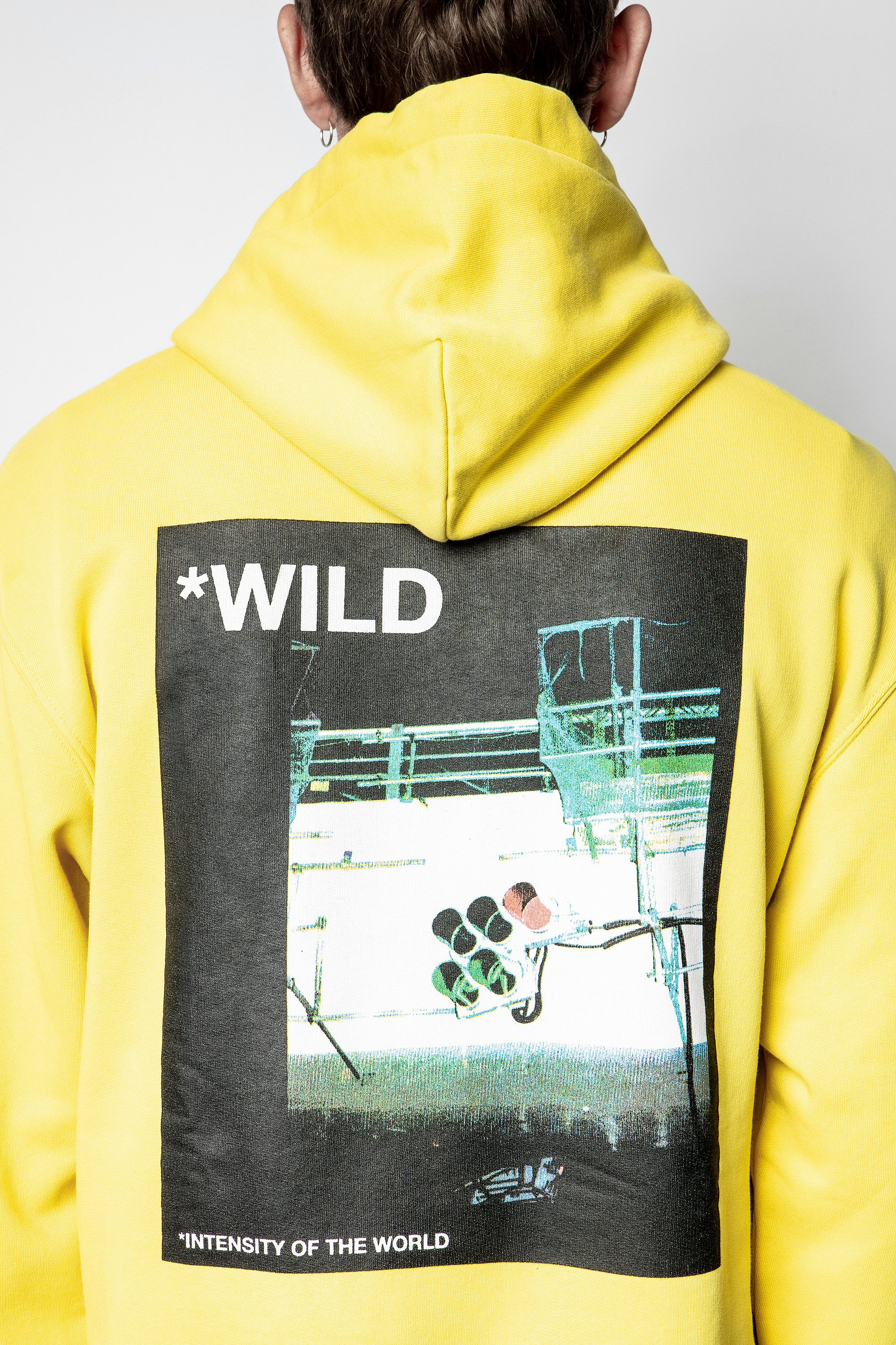 Sanchi Photoprint Wild Sweatshirt - Men's yellow sweatshirt.